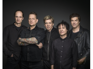 Die Toten Hosen (D)