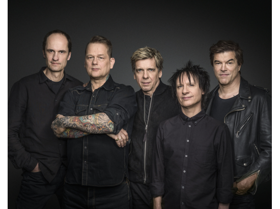 Die Toten Hosen (D)