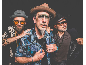 The Next Movement - Explosive Groove, Funk & Soul