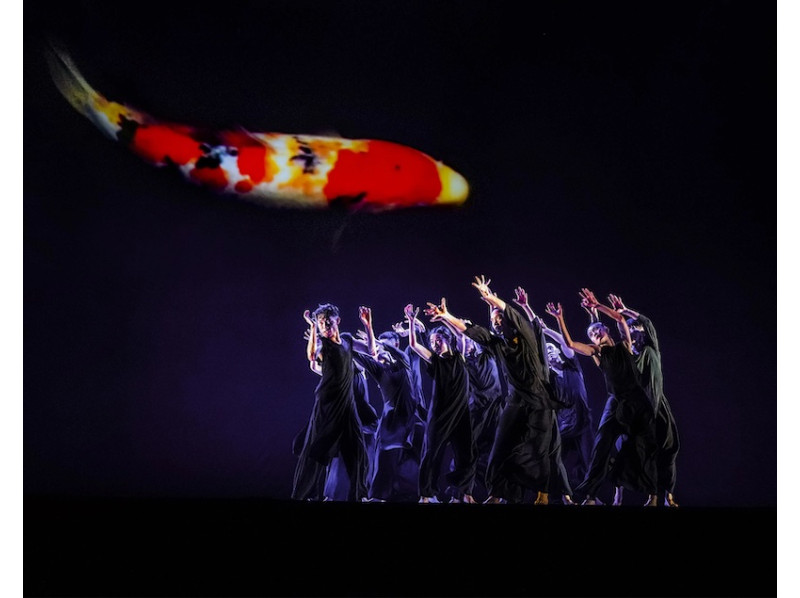Tickets für Cloud Gate Dance Theatre of Taiwan in Hellerau