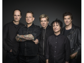 Die Toten Hosen (D)