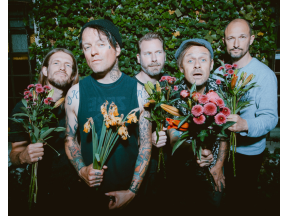 Donots (D)