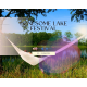 Lonesome Lake Festival