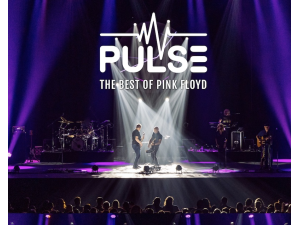 Pulse (D) - The Spirit of Pink Floyd
