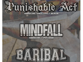 Punishable Act (D) - Record Release