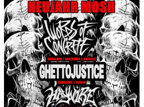 Neujahrs-Mosh 3