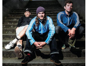 Sportfreunde Stiller (D)