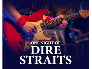 One Night of Dire Straits - Dire Straits Tribute Show