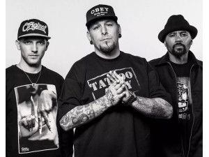 Delinquent Habits (USA)