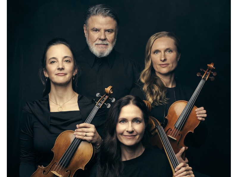 IC Falkenberg (D) - "Unterstrichen"