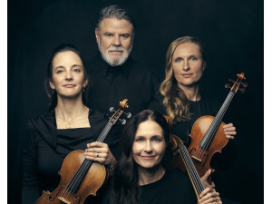 IC Falkenberg (D) - "Unterstrichen"