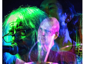 The Bevis Frond (UK)