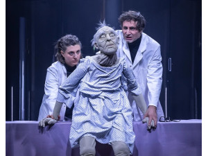 The Lion's Face (Oper von Elena Langer)