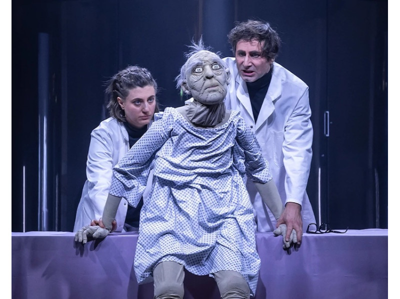 The Lion's Face (Oper von Elena Langer)